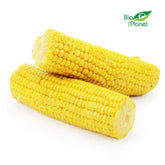 Maïs cuit BIO (Polonais) (environ 0,40 kg)